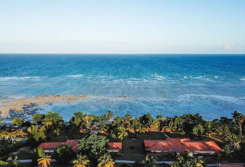 Отель Pousada Caeira