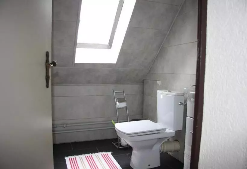 Hotelli Zum Goldenen Stern