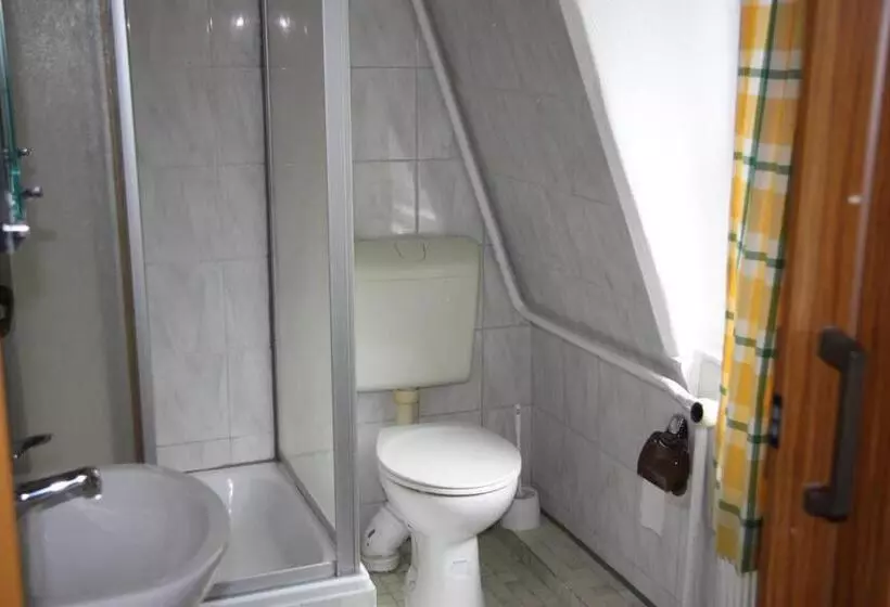 Hotelli Zum Goldenen Stern