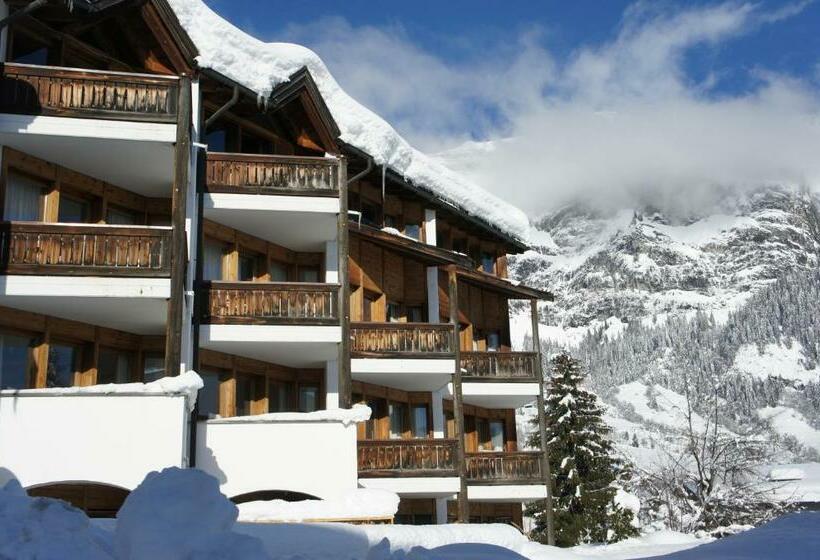 Otel Arena Guesthouse