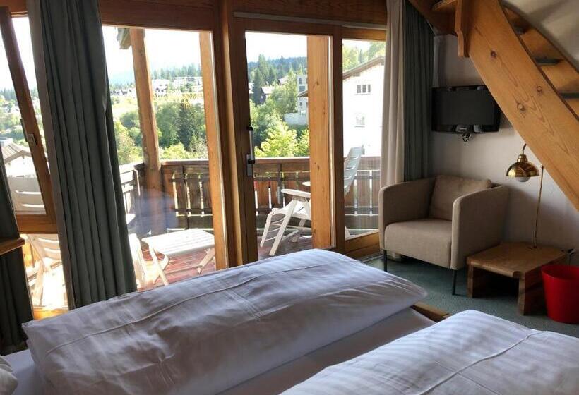 Otel Arena Guesthouse