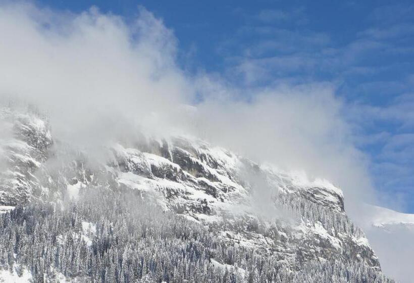 Otel Arena Guesthouse