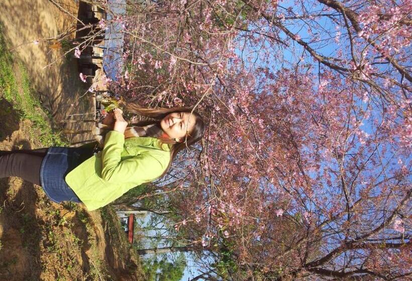 פנסיון Dr. House