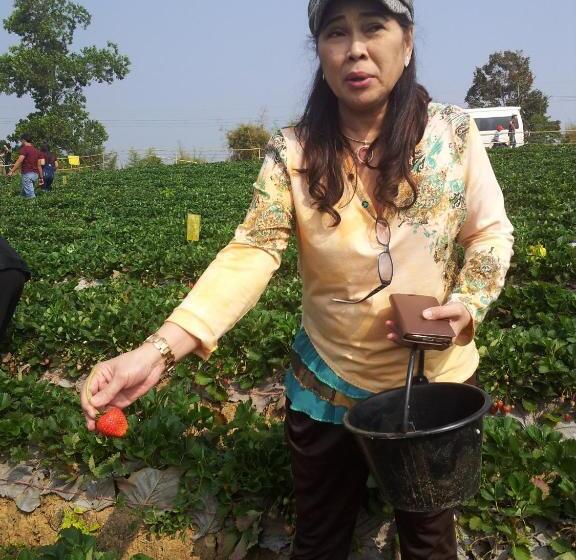 פנסיון Dr. House