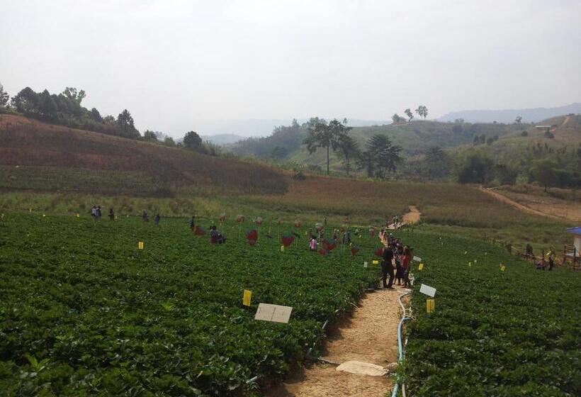 פנסיון Dr. House