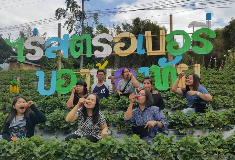 פנסיון Dr. House