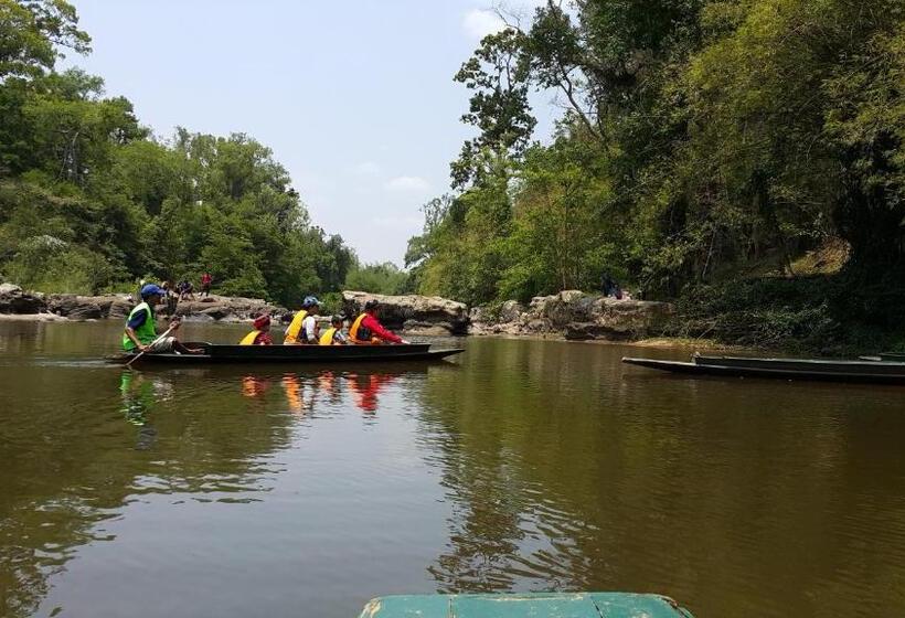 פנסיון Dr. House