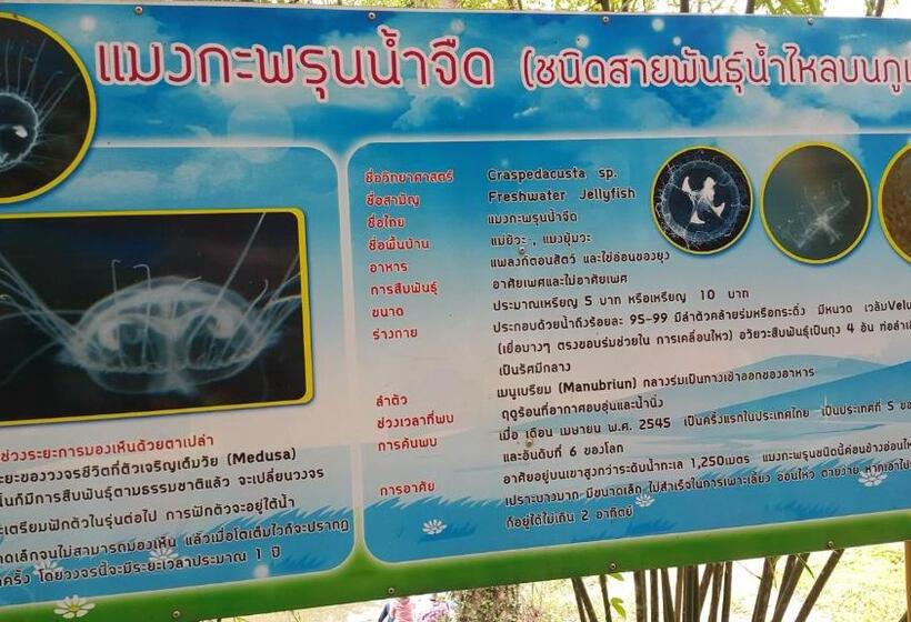 פנסיון Dr. House