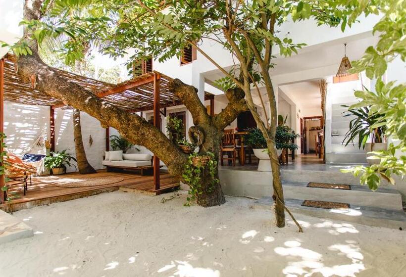 Bed & Breakfast Jeri Pousada