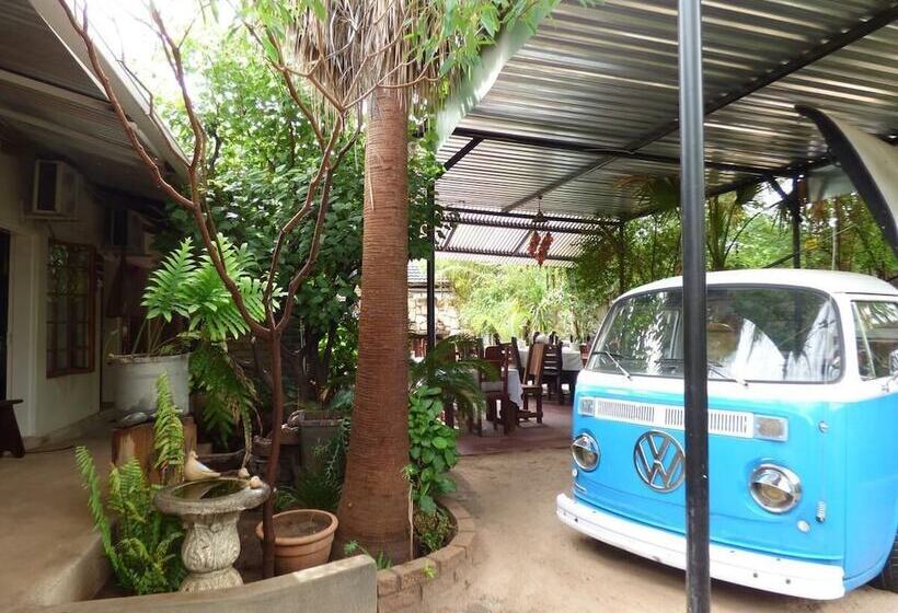 膳宿费 Villa Africa Guesthouse