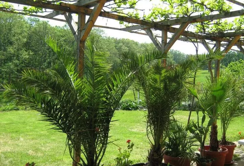 پانسیون Villa Victoria