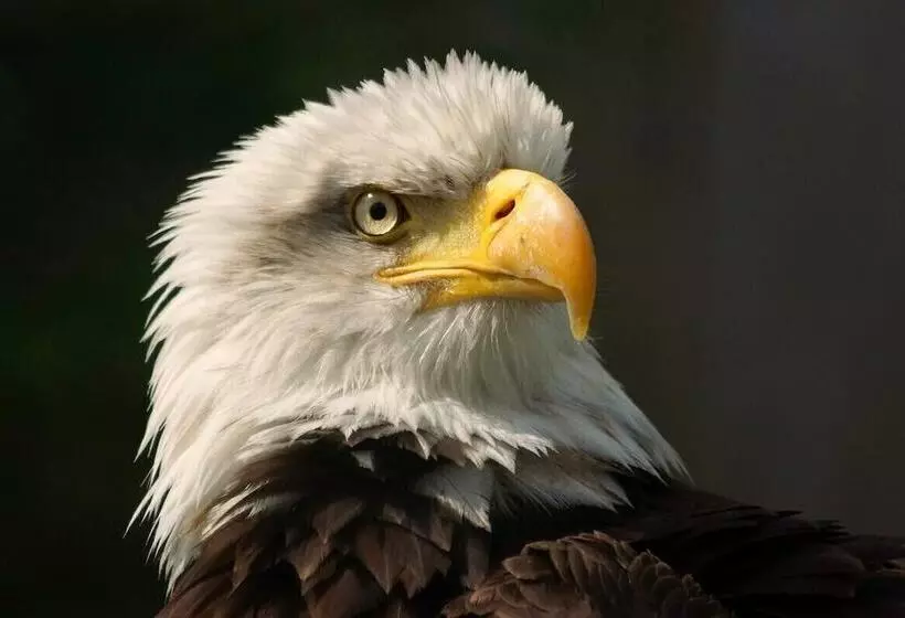 Antjes Schmankerlhotel Und Restaurant