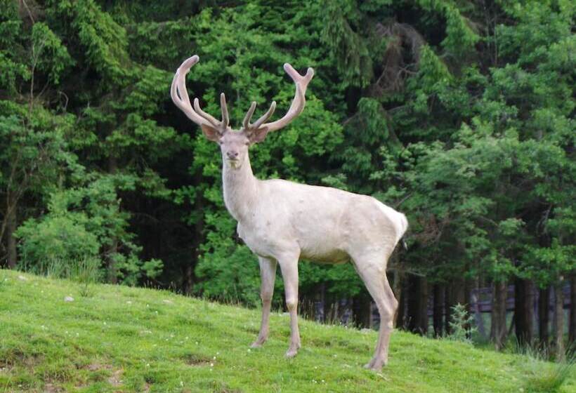 Antjes Schmankerlhotel Und Restaurant