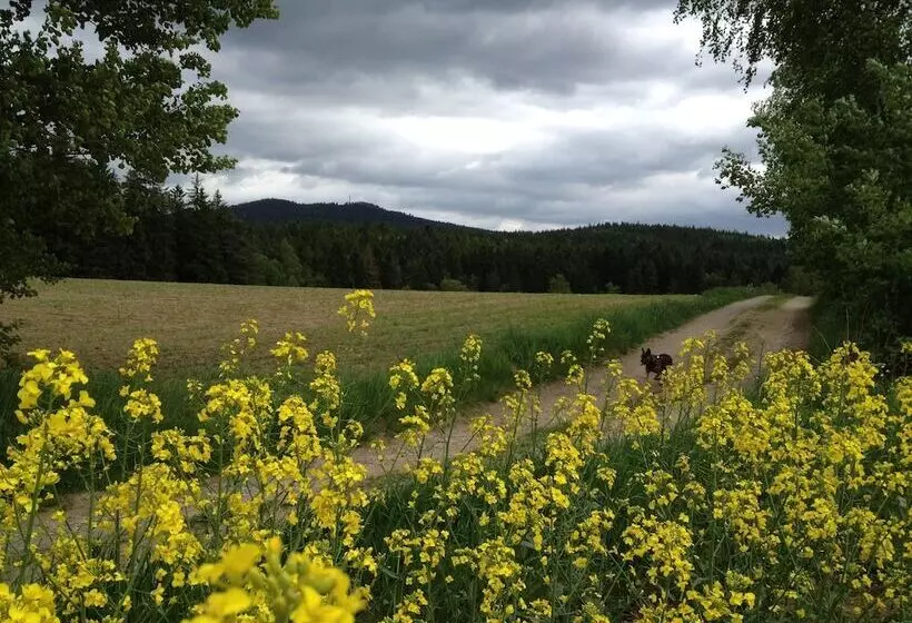 Antjes Schmankerlhotel Und Restaurant