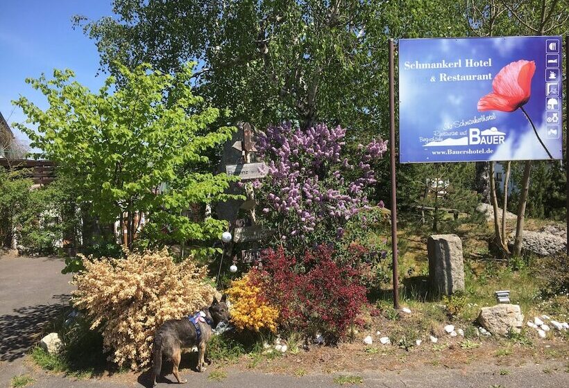 Antjes Schmankerlhotel Und Restaurant