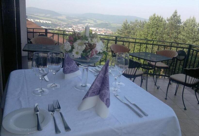 Bellevue Hotel & Resort