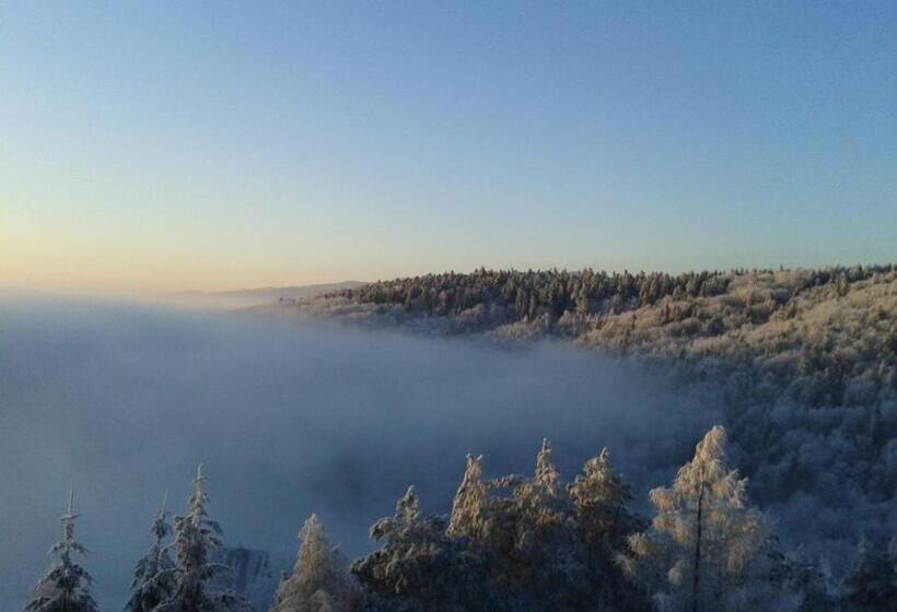 Bellevue Hotel & Resort