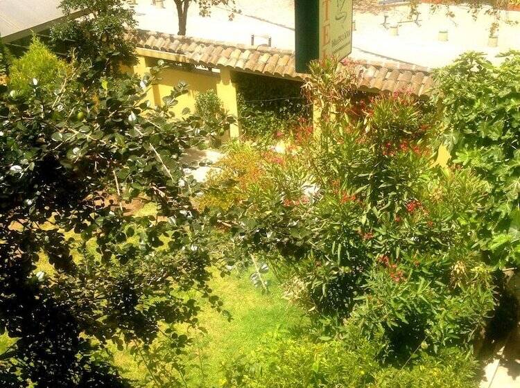 בית מלון כפרי Cayman