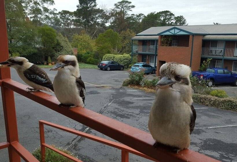 فندق Hepburn Springs Motor Inn