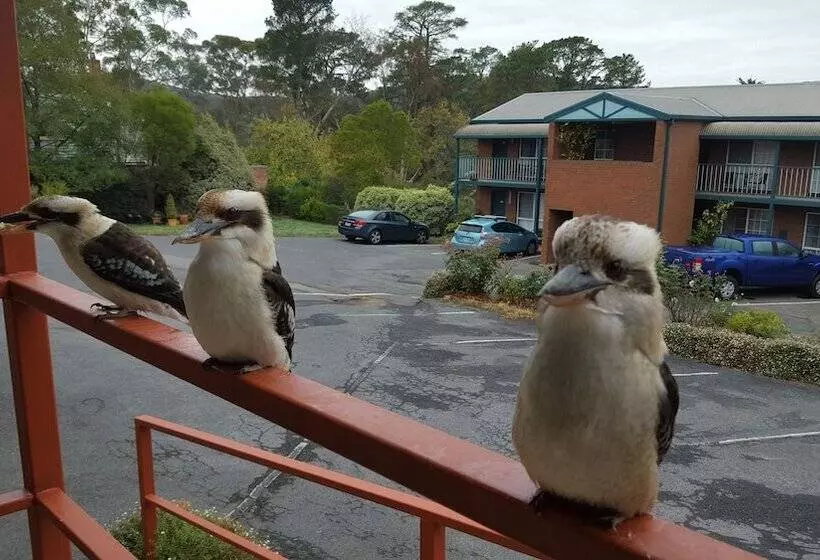 酒店 Hepburn Springs Motor Inn