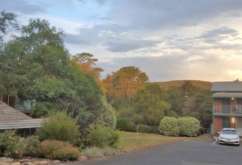 فندق Hepburn Springs Motor Inn