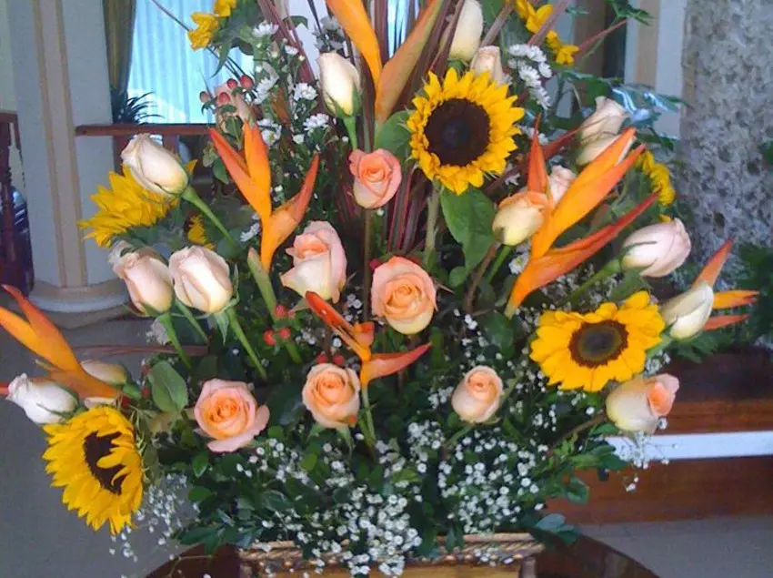 Отель Jardines Del Río