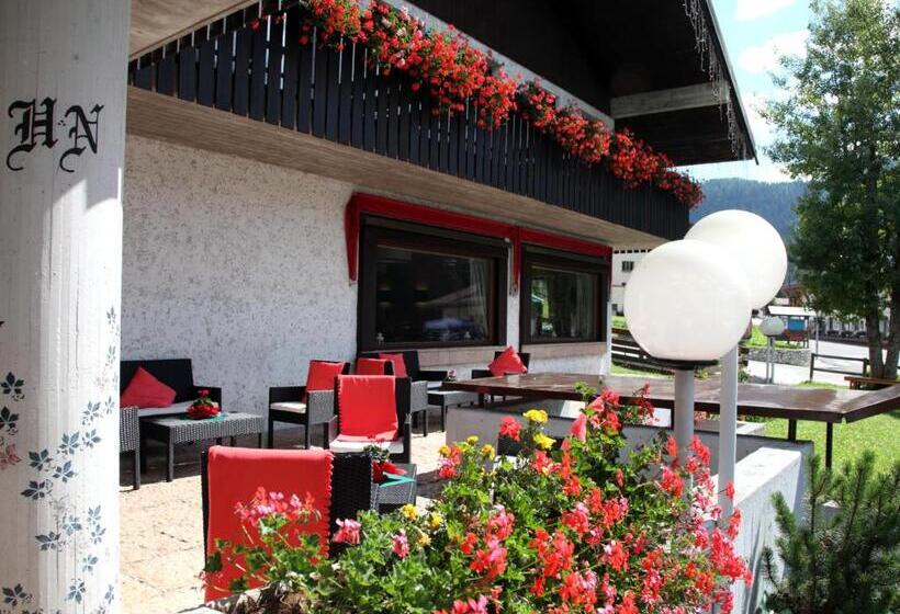 בית מלון כפרי Nigritella