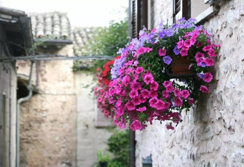 호텔 Palazzo Brunamonti