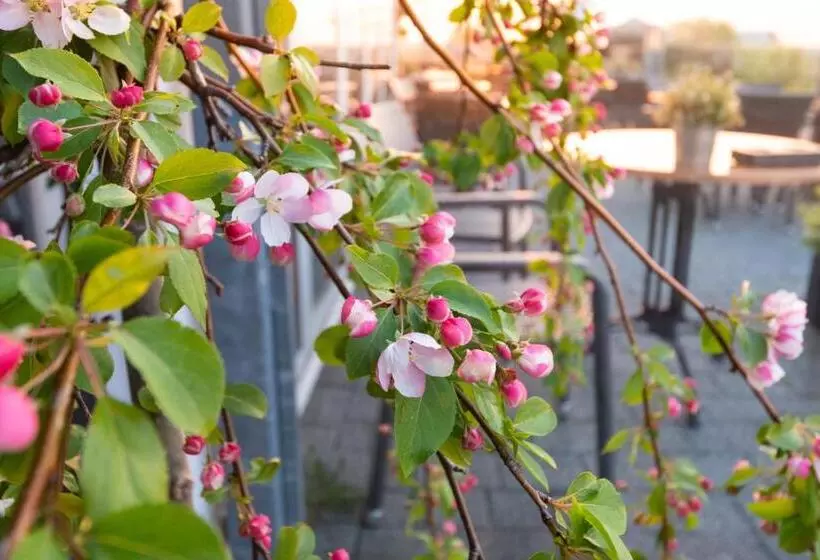 호텔 Restaurant Zalen Hoogeerd