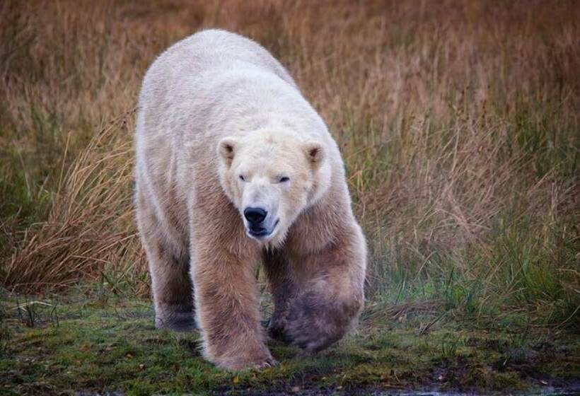 The Glen Hotel Newtonmore