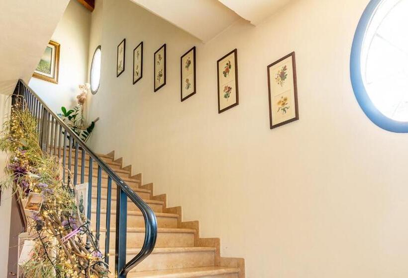 Agriturismo Cà Nuova