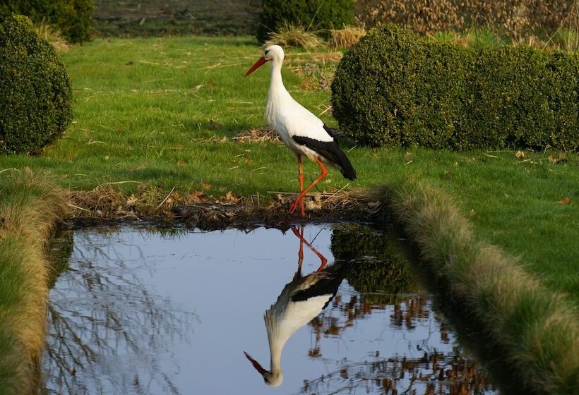 مبيت وإفطار De Heerlijkheid Ruinerwold