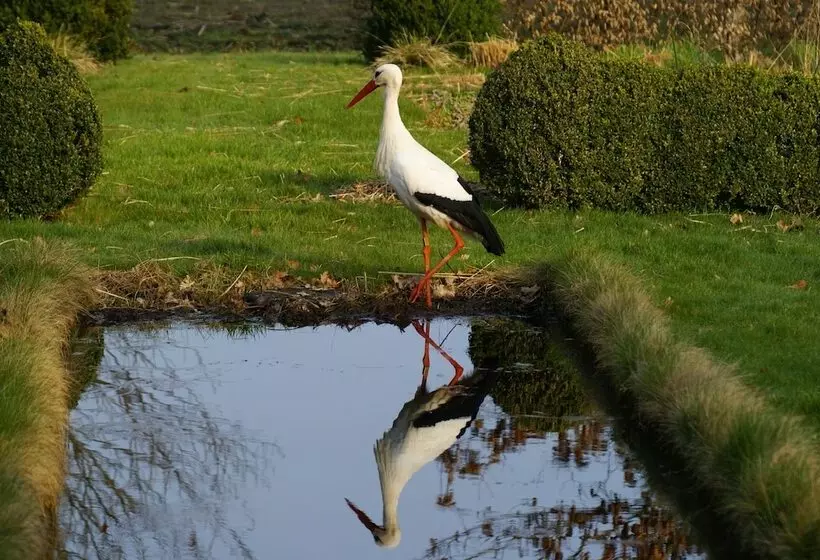 ベッドアンドブレックファースト De Heerlijkheid Ruinerwold