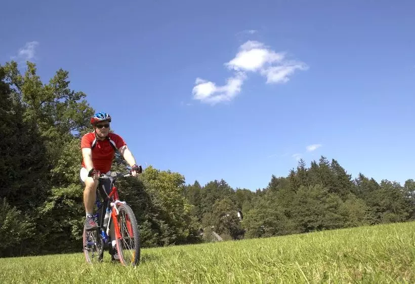 Belvedere Das Bio Hotel Garni & Suitehotel Am Edersee ! Unser Geschenk Für Sie, Auch Die Gästecard