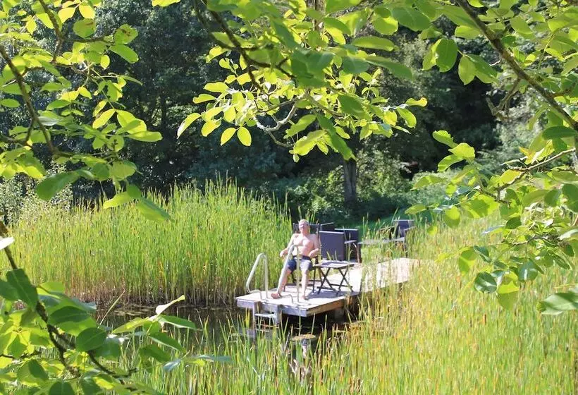 Belvedere Das Bio Hotel Garni & Suitehotel Am Edersee ! Unser Geschenk Für Sie, Auch Die Gästecard