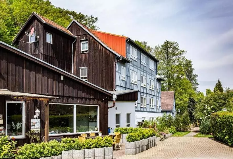 Harzpension Familie Mann