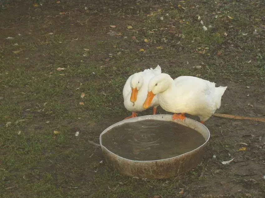 Agriturismo Frattavecchia