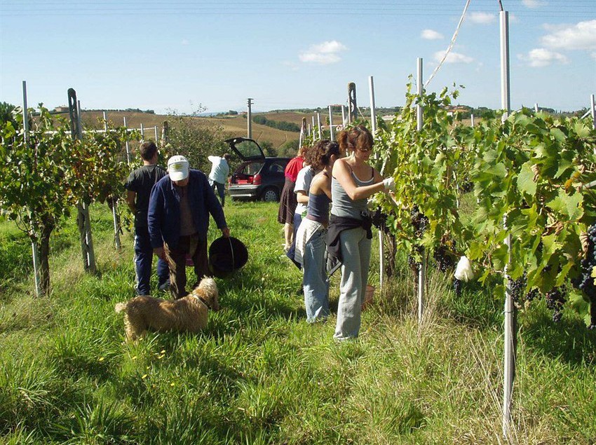 Agriturismo Frattavecchia