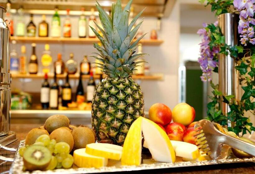 Airport Hotel Fortuna