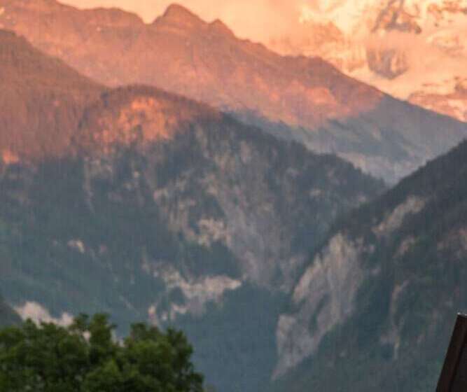 Hotel Berghof Amaranth