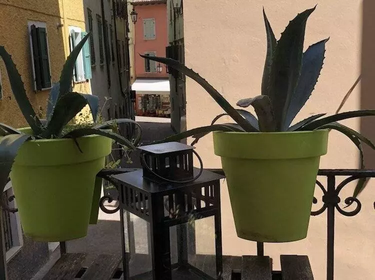 בית מלון כפרי Canarino