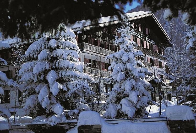 בית מלון כפרי Castor