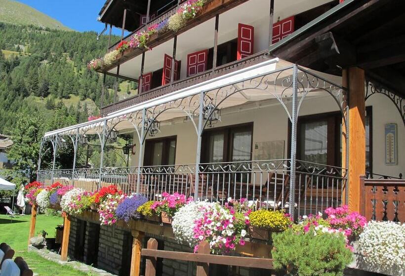 בית מלון כפרי Castor