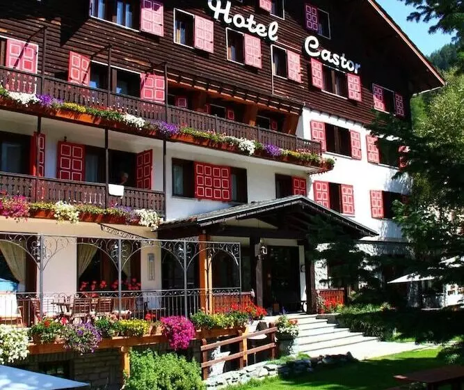 호텔 Castor