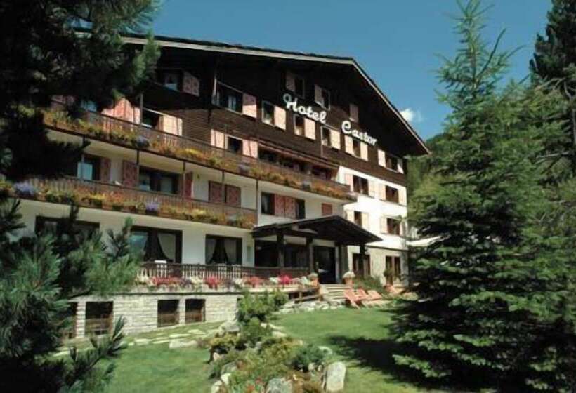 בית מלון כפרי Castor