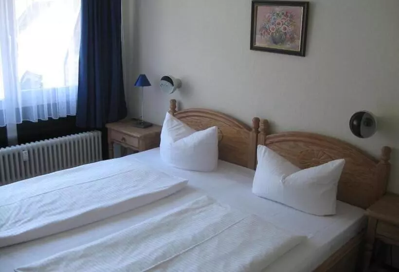 فندق Garni Central