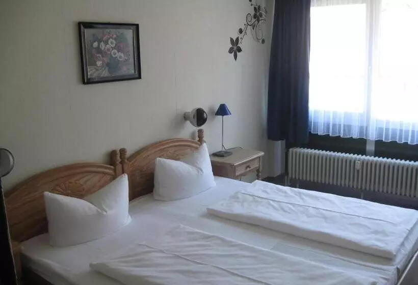 فندق Garni Central