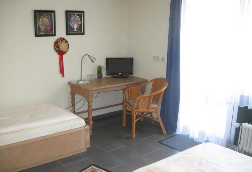 בית מלון כפרי Garni Central