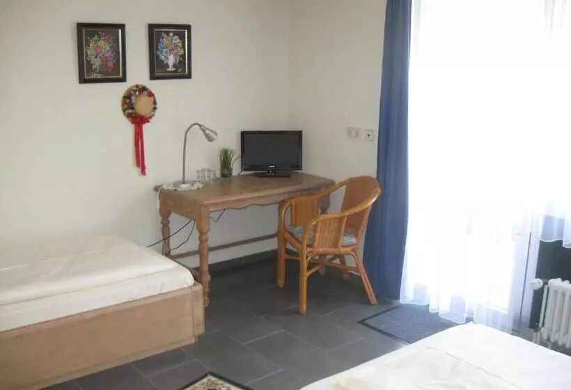 فندق Garni Central