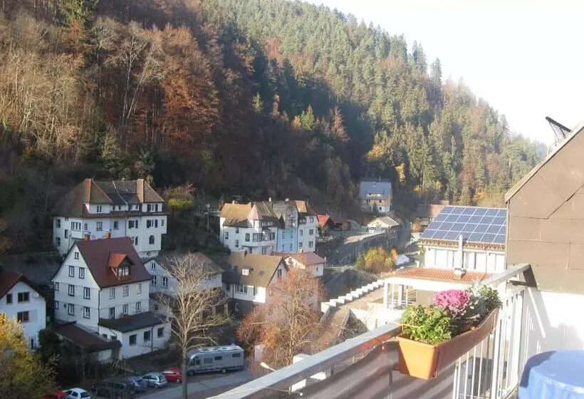 فندق Garni Central